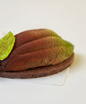 Cocoa pod