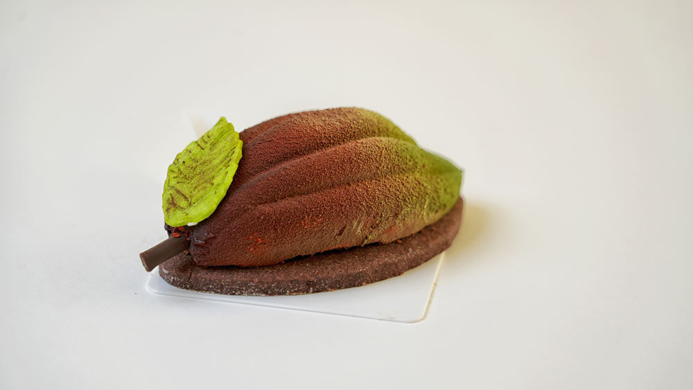 Cocoa pod