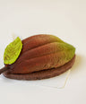 Cocoa pod