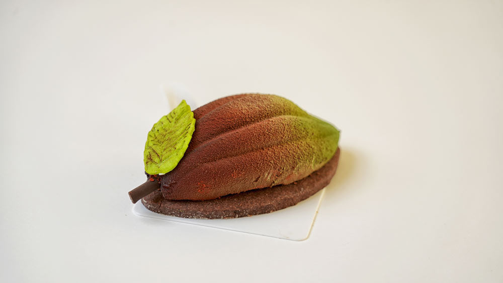 Cocoa pod