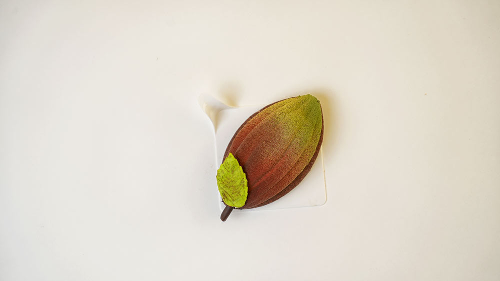 Cocoa pod